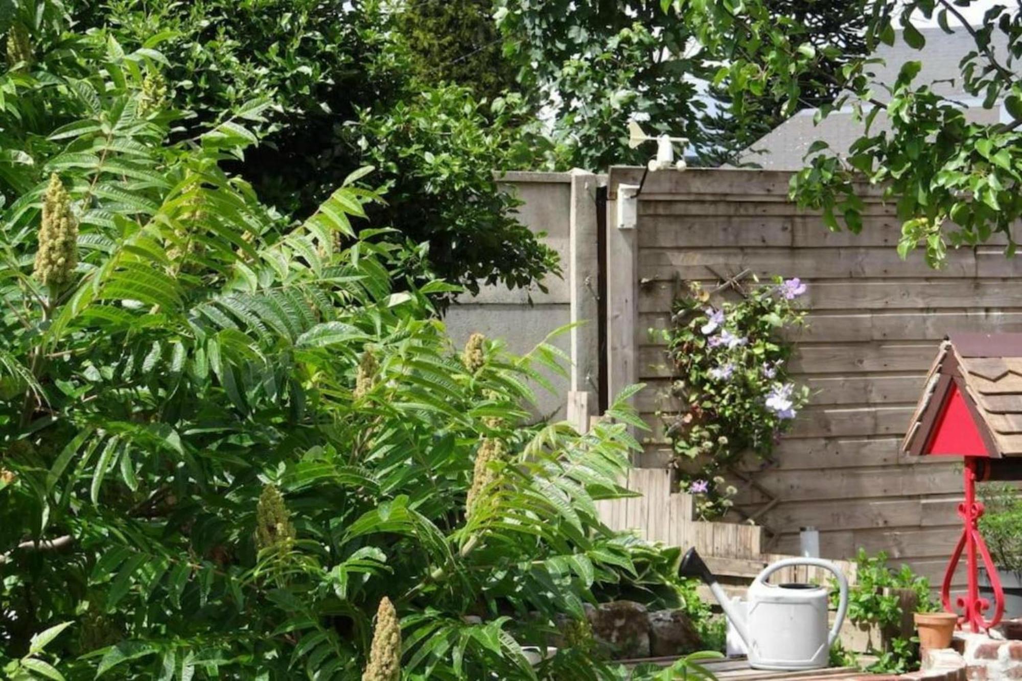 Clos Des Paquerettes : Maison Avec Jardin Privatif إيفتو المظهر الخارجي الصورة